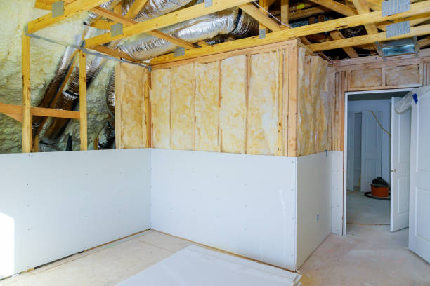 Best Insulation Maintenance and Repair in Georgetown, DE