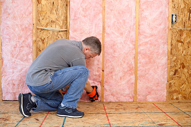 Best Insulation Installation Services in Georgetown, DE